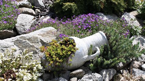 Detailná schéma výsadby bielej skalky