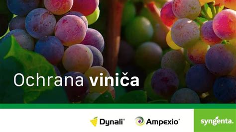 Infografika ideálneho stanovišťa viniča na svahu s južnou orientáciou