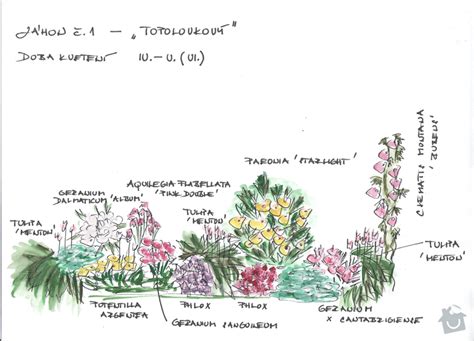 Návrh záhonu s rôznymi druhmi jarných cibuľovín