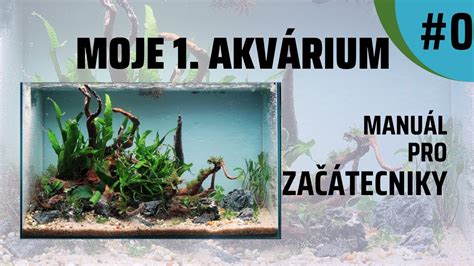 Ukážka vhodne zariadeného akvária pre axolotla s jemným substrátom a úkrytmi.