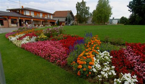ukážka rôznych druhov črepníkových rastlín
