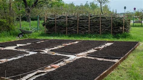 Ilustrácia okopávania a pletia zemiakových hriadok