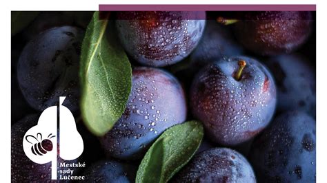 Rôzne odrody ringlôt a sliviek na trhu