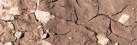 Porovnanie štruktúry substrátu: vľavo ťažká ílovitá pôda, vpravo vzdušný substrát s prímesou perlitu a kôry