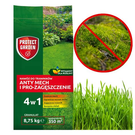 Záhradník rozsypuje granulované hnojivo po trávniku pomocou rozmetača