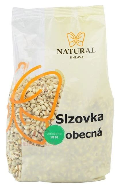 Botanická schéma rastliny slzovka obyčajná s detailom semien