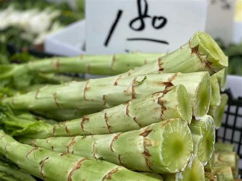 fotografia rastliny špargľového šalátu (celtuce) s hrubou stonkou