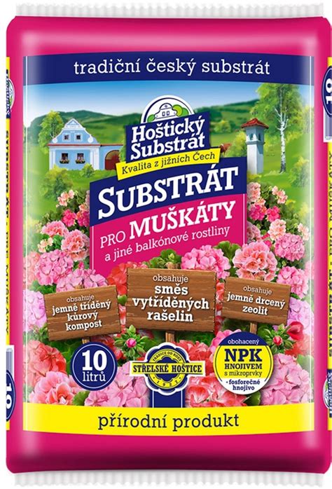 Infografika: Správna zálievka a substrát pre echevériu