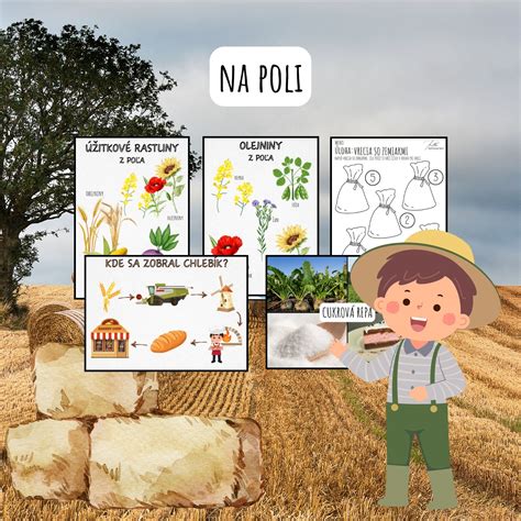 Zdravé rastliny cibule rastúce na poli