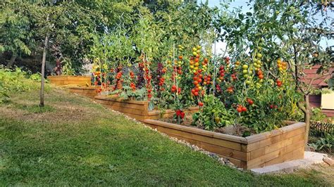 ilustračná fotografia slnečného pozemku vhodného na pestovanie zeleniny
