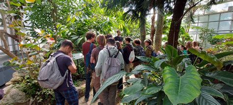 Farebné zbierky rastlín v historickej botanickej záhrade Brera v Miláne.