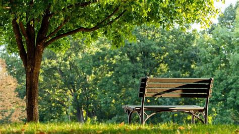 Elegantná architektúra sa stretáva s prírodou v Giardini Pubblici Montanelli.