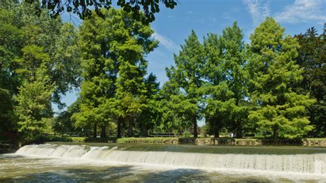 Tekúca voda v Parco Lambro, milánskej riečnej svätyni.