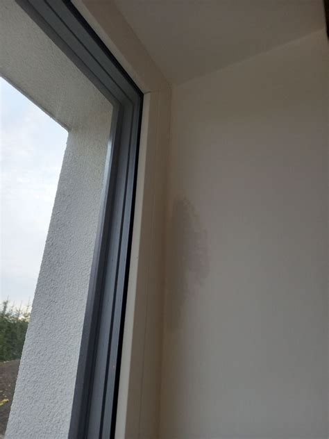 Ilustrácia bonsaja umiestneného na parapete pri okne s dostatkom rozptýleného svetla.