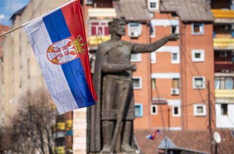 Foto lomikameňa poplazivého na severnom parapete