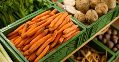 Obrázok znázorňujúci správne skladovanie rôznych druhov plodovej zeleniny