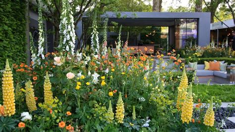 schéma rastliny s koreňovým systémom a prísunom živín