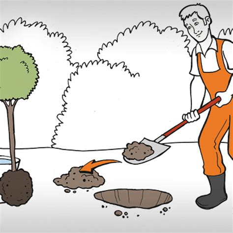 Ilustrácia prípravy sadbovej jamy pre stromček