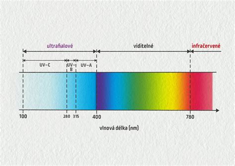 Informatívny diagram zobrazujúci spektrum svetla a jeho vplyv na rastliny, s označením svetlomilných a tieňomilných druhov.