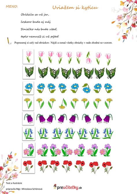 schéma ideálneho rozostupu výhonkov malín v riadku pre lepšie presvetlenie