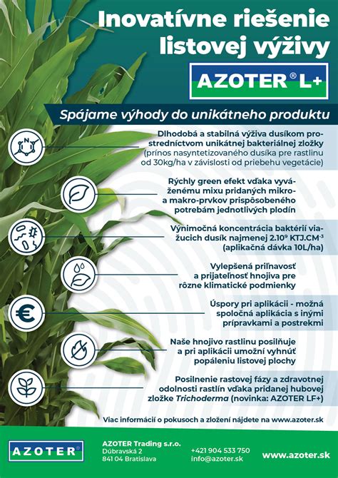 infografika: optimálne dávkovanie dusíka podľa rastovej fázy jačmeňa