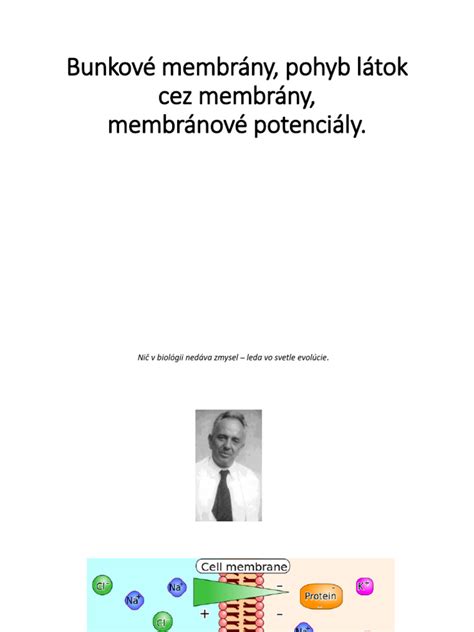 Ilustrácia mechanizmu účinku listového herbicídu - prienik cez listy a translokácia účinných látok.