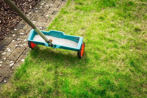 Zazimovaný trávnik pokrytý jemnou vrstvou snehu