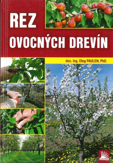 Infografika správneho rezu ovocných drevín v jarnom období