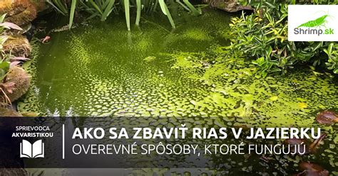 Schéma najčastejších druhov rias v akváriu a jazierku s popisom ich špecifík