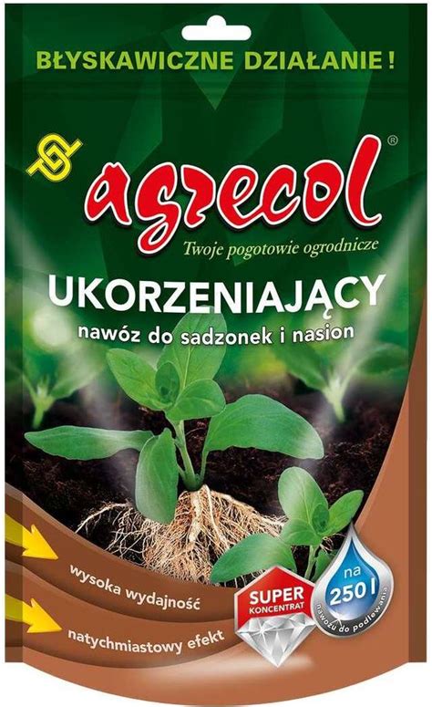 Schéma krokov pri vegetatívnom rozmnožovaní rozchodníkov pomocou odrezkov