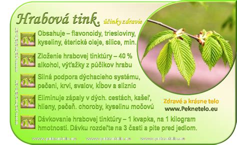 Detail listov a kôry hrabu obyčajného