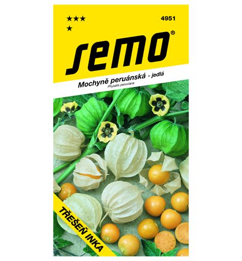 schéma rastliny machovky s detailom plodu v papierovitom obale a koreňového systému