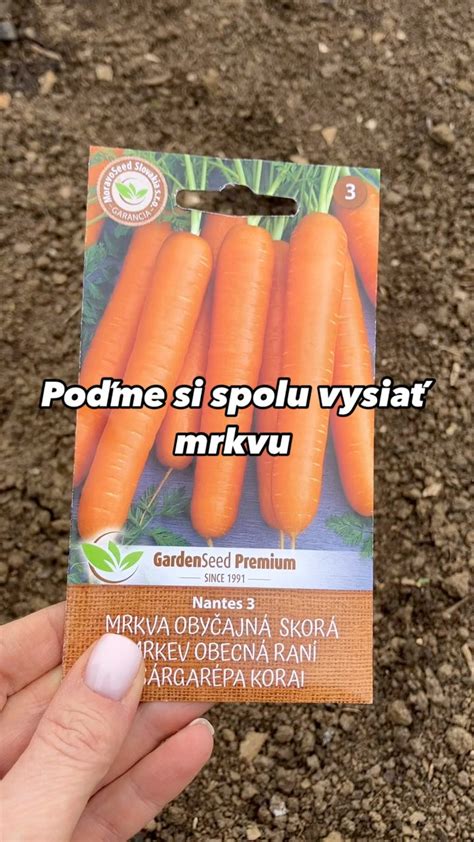 infografika procesu pestovania: výsev v marci, presadenie v máji a zber od septembra