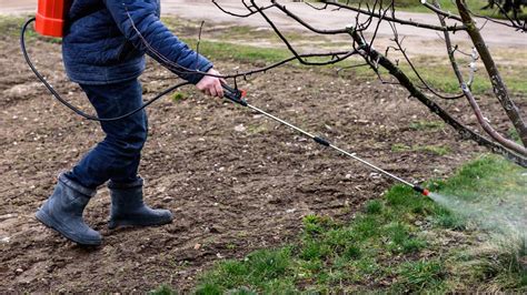 fotografia aplikácie hnojiva posypom a postrekom