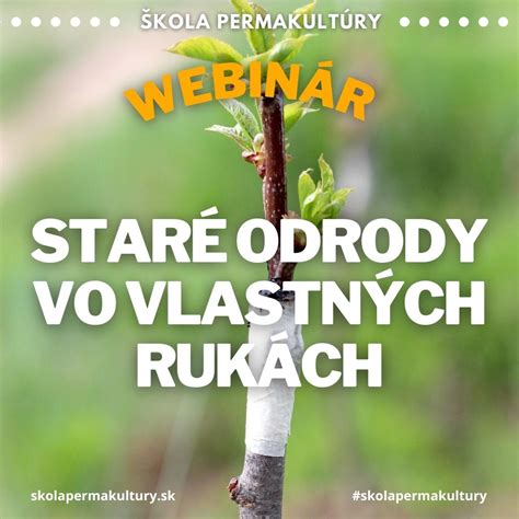 Ilustrácia techniky štepenia do rázštepu