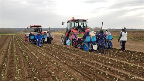 Tematické foto: Poľnohospodári pracujúci na poli za slnečného počasia