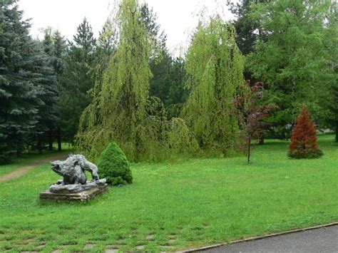 Arborétum Liptovský Hrádok, pohľad na dreviny a park
