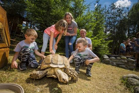 Rodina interagujúca so zvieratami v ZOO Kontakt Liptovský Mikuláš