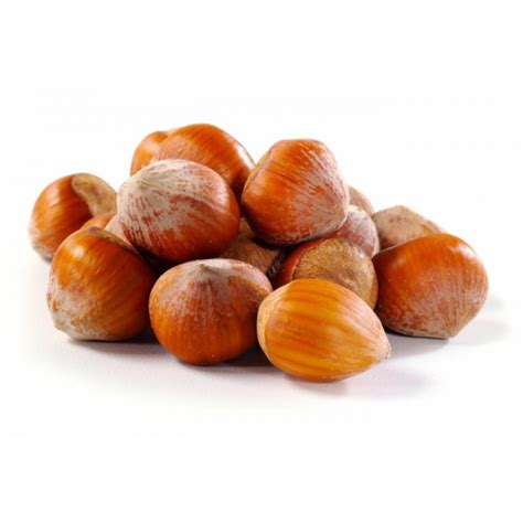 Okrúhle plody lieskových orieškov v škrupine