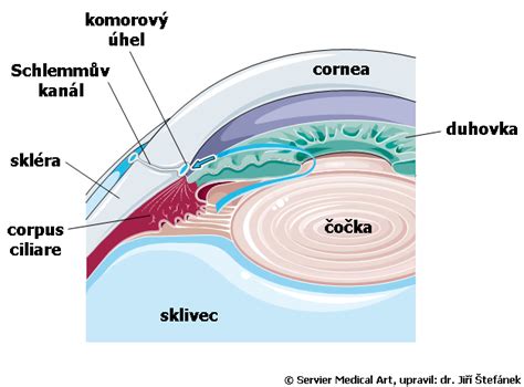 Schéma oka znázorňujúca tvorbu a odtok vnútroočnej tekutiny v komorovom uhle medzi dúhovkou a rohovkou.