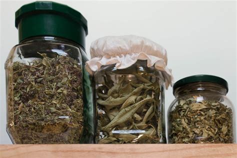 Ukážka správneho sušenia bylín v tieni a následného skladovania v sklenených nádobách