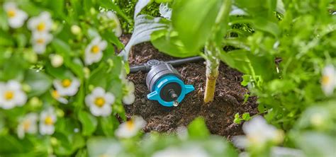 Infografika porovnávajúca rôzne typy zavlažovacích systémov (ručné, automatické, podzemné).