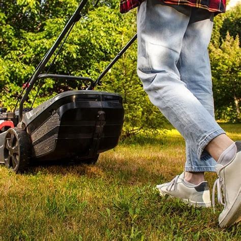 Detailný pohľad na správnu výšku kosenia trávnika