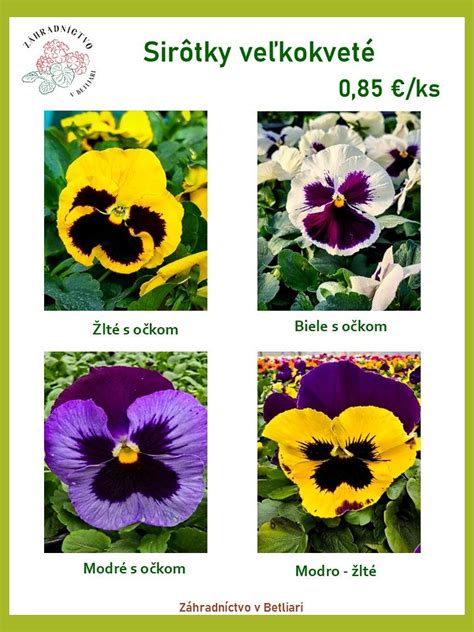 rozmanitosť kvetov horca (modré, žlté, biele)