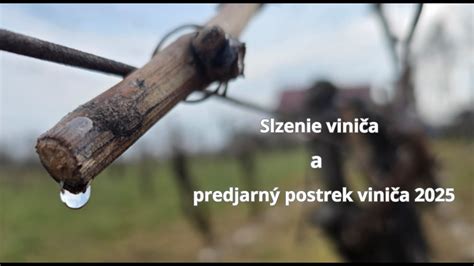 Grafika s fázami hnojenia viniča v priebehu roka