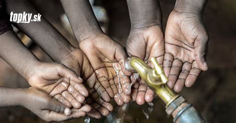 Schéma: Reakcia cukrovej repy na nedostatok vody