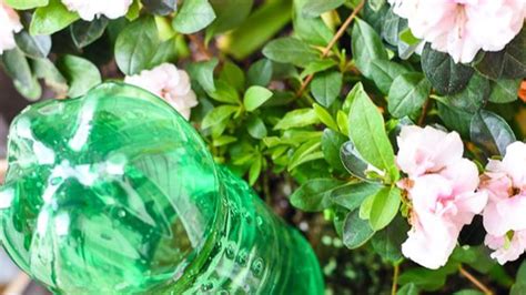 Návod na kvapkovú závlahu z plastových fliaš