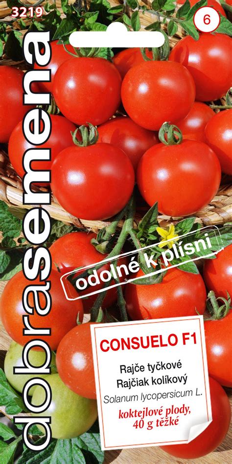 Detail aksamietnice vysadenej medzi paradajkami.