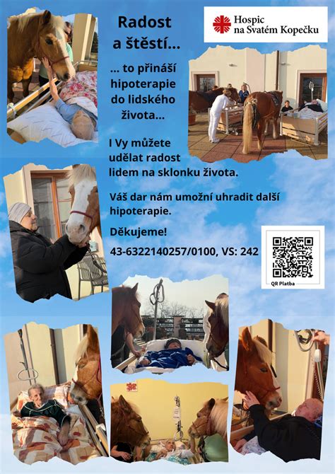 Ilustrácia zobrazujúca priebeh hipoterapie