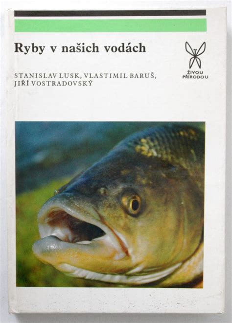 Mladé mrenky v pokojnejších vodách